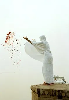 De Volta para a Índia 2017