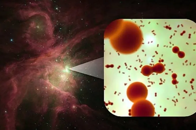 Câncer - O que tem por trás deste diagnóstico?